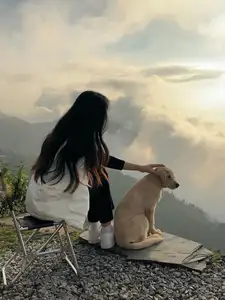 Ta Xua Winter: Discover the pristine beauty of forest flowers amidst majestic mountains-3