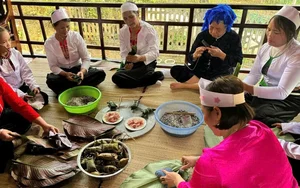 Discover the Magic of Muong Cuc, Phu Tho: Cloud Hunting at Deo Con Pass and the Unique Tet Doi Rice Soul Festival Experience-7