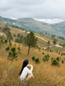 Discover Phoenix Peak Quang Ninh: Mesmerizing Golden Grass Hills for an Unforgettable Trekking Experience-0