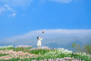 Ethereal Beauty in Flower Fields: YiTuYu Vol.8915 Disexi Si Ning-9