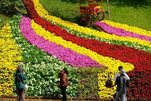 Vietnam Travel: Ha Long Bay Sunset Cruise, Experience the Beautiful Season-8