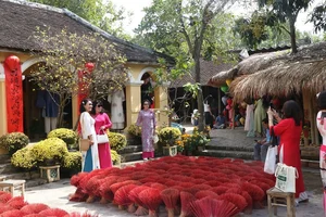 Discover the Charm of Vietnam: A Cultural Journey to Nha Trang Ancient Craft Village During the Traditional Spring Festival-1