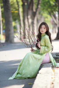 Elegant Vietnamese Ao Dai: Traditional Silk Fashion and Cultural Beauty of Vietnam-0