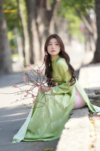 Elegant Vietnamese Ao Dai: Traditional Silk Fashion and Cultural Beauty of Vietnam-4