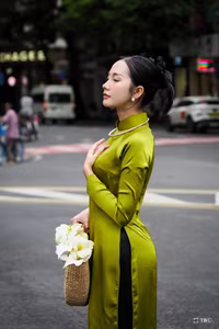 VGU No.41: Elegant Vietnamese Ao Dai Beauty Timeless Charm of Asian Women-4