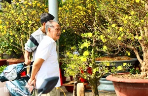 Experience the Vibrant Lunar New Year Flower Markets in Ho Chi Minh City: A Colorful Spring Celebration in Saigon-14