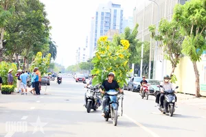 Experience the Vibrant Lunar New Year Flower Markets in Ho Chi Minh City: A Colorful Spring Celebration in Saigon-6