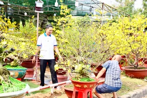 Experience the Vibrant Lunar New Year Flower Markets in Ho Chi Minh City: A Colorful Spring Celebration in Saigon-13