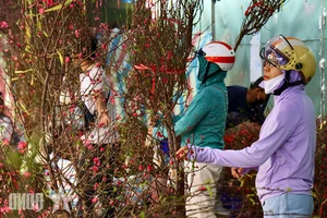 Experience the Vibrant Lunar New Year Flower Markets in Ho Chi Minh City: A Colorful Spring Celebration in Saigon-12