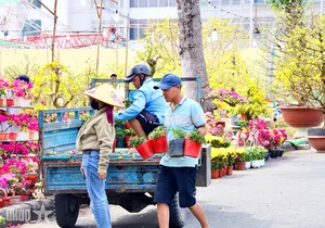 Experience the Vibrant Lunar New Year Flower Markets in Ho Chi Minh City: A Colorful Spring Celebration in Saigon-0