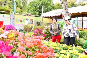 Experience the Vibrant Lunar New Year Flower Markets in Ho Chi Minh City: A Colorful Spring Celebration in Saigon-15