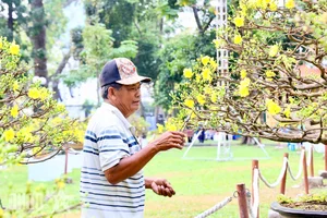Experience the Vibrant Lunar New Year Flower Markets in Ho Chi Minh City: A Colorful Spring Celebration in Saigon-1
