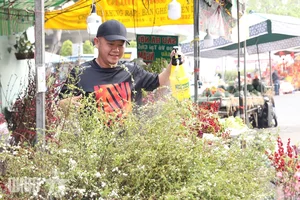 Experience the Vibrant Lunar New Year Flower Markets in Ho Chi Minh City: A Colorful Spring Celebration in Saigon-5