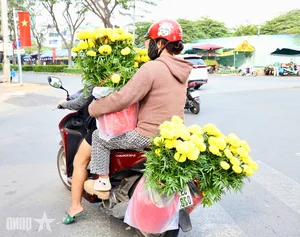 Experience the Vibrant Lunar New Year Flower Markets in Ho Chi Minh City: A Colorful Spring Celebration in Saigon-2