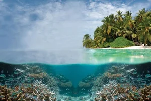 Discover the Pristine Beauty of Tubbataha Reefs: The Philippines' Hidden Marine Paradise and UNESCO World Heritage Site-0