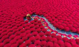Discover Quang Phu Cau Incense Village: Vibrant Red Hue Draws Tourists Near Hanoi-3