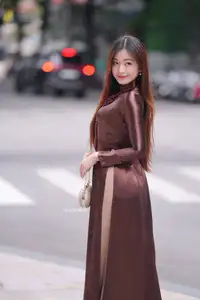 Graceful Brown Ao Dai Beauty on the Street: Modern Vietnamese Elegance-6