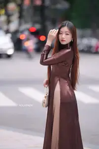 Graceful Brown Ao Dai Beauty on the Street: Modern Vietnamese Elegance-7