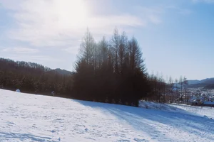 Cinematic Portrait Photography: Art Language Vol.9167 Featuring Hua Lao De Xiao Hu - Aesthetic 1995 Love Letter Inspired Visuals-5