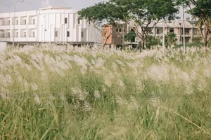 Escape the Ordinary: Discovering Da Nang’s Serene Hidden Gems and Ethereal Landscapes-3