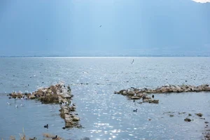 Ethereal Grace of Wan Jiang Ting in YiTuYu Art Language Vol.8851 by the Lake-21