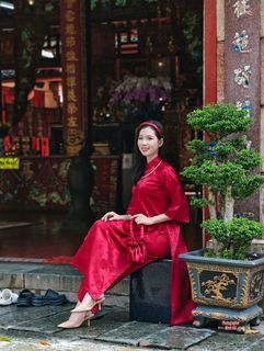 Graceful Vietnamese Woman in Traditional Ao Dai: A Portrait of Beauty-4