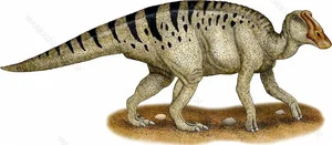 Discovering the Majestic New Duck-Billed Dinosaur from the Late Cretaceous Era-10