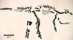 Discovering the Majestic New Duck-Billed Dinosaur from the Late Cretaceous Era-2