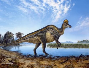 Discovering the Majestic New Duck-Billed Dinosaur from the Late Cretaceous Era-9