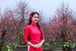 Hanoi Spring Vibes: Young Women in Traditional Ao Dai at Nhat Tan Peach Blossom Garden for Tet 2026-4