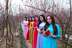 Hanoi Spring Vibes: Young Women in Traditional Ao Dai at Nhat Tan Peach Blossom Garden for Tet 2026-7