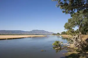 Witness the majestic African Elephants in the pristine 'land of divine lakes'.-3