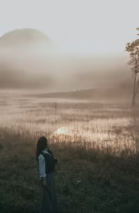 View - Suoi Tia Da Lat: Discover the Ethereal Misty Fairyland at Dawn-9