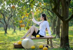 Gentle Girl in Pomelo Garden, Youthful Beauty Blending with Nature 17639840-7