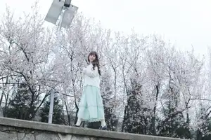 Discover Yi Ke Chong Ya (YiTuYu Vol.8721) in Spring Blossoms: Poetic Charm & Allure-29