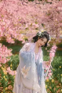 YiTuYu Vol.8666 Xian Lu: Ethereal Hanfu Beauty Amidst Cherry Blossoms-10