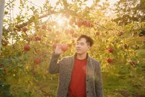 Fukushima: Immerse in Japan's Golden Autumn Splendor, Wander Through Enchanting Fall Landscapes-2