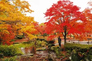 Fukushima: Immerse in Japan's Golden Autumn Splendor, Wander Through Enchanting Fall Landscapes-5
