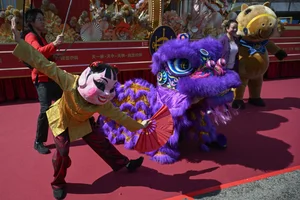 Vibrant Global Lunar New Year Celebrations: Capturing the Festive Spirit and Traditions of the Year of the Horse (Bính Ngọ) Worldwide-7