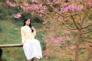 Discover the Breathtaking Cherry Blossoms of Xom Mung Village: A Must-Visit Spring Destination for Nature Lovers and Cultural Explorers in Vietnam-8