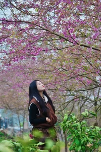 Discover the Breathtaking Cherry Blossoms of Xom Mung Village: A Must-Visit Spring Destination for Nature Lovers and Cultural Explorers in Vietnam-3