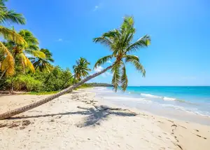 Discover Phu Quoc: A Tropical Island Paradise with Breathtaking Pristine Landscapes-2