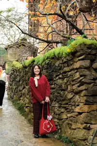 Lolo Chai: Uncover the Rustic Beauty of an Ancient Village & Its 'World's Most Enduring' Persimmon Tree, a Tourist Magnet-4