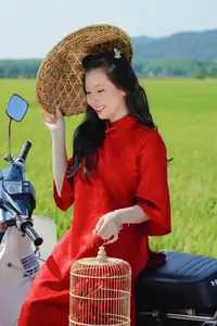 Discover the Serene Beauty: Vietnamese Girl in Red Ao Dai Amidst Green Rice Fields-8