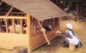 Discover Zhu Qing in YiTuYu Vol.8780: Rustic Charm & Radiant Smiles-21