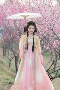 Shu Shu Jiang's Grace Amidst Blooming Plum Blossoms - YiTuYu Art Language Vol.8769-25