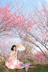 Shu Shu Jiang's Grace Amidst Blooming Plum Blossoms - YiTuYu Art Language Vol.8769-8