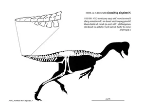 Exploring Nomingias Unique Tail Structure - A Masterpiece of Evolution from Mongolia-0