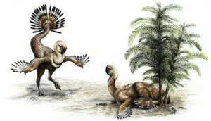 Exploring Nomingias Unique Tail Structure - A Masterpiece of Evolution from Mongolia-2