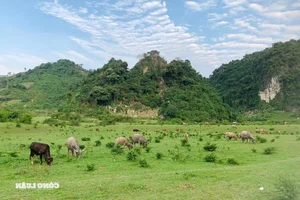 Huu Lien: A Pristine Escape Amidst the Lush Green Mountains of Lang Son-0